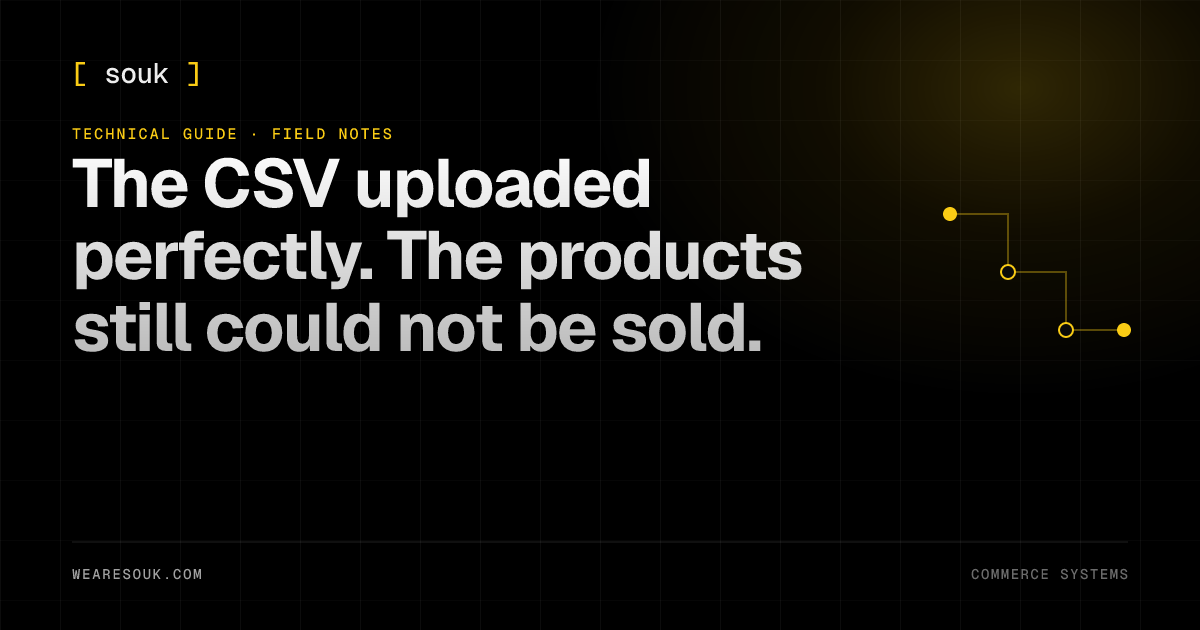 We Are Souk article cover: The CSV uploaded perfectly. The products still could not be sold.